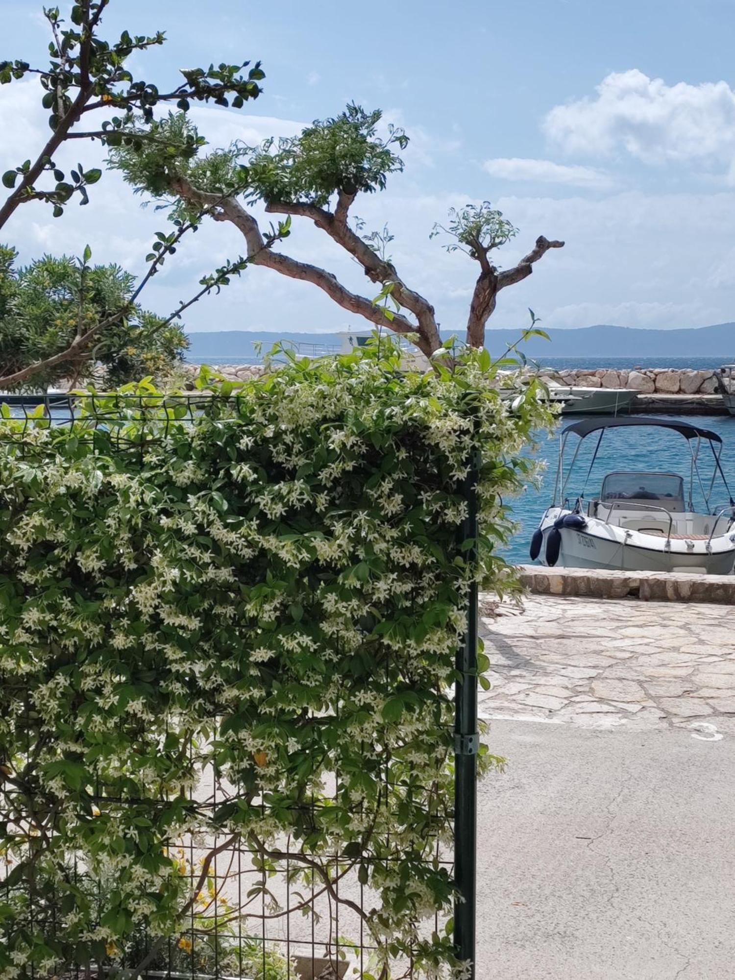 Apartmani Ines Drasnice Dış mekan fotoğraf